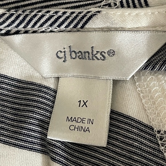 C. J.  Banks sz. 1X knit tunic in blue and white stripe   Long sleeves - Picture 10 of 12
